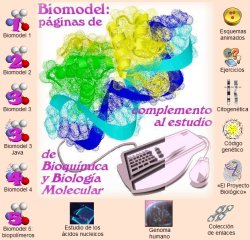BioModel